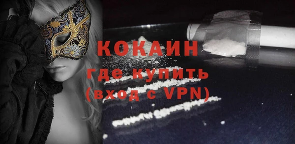 индика Абаза