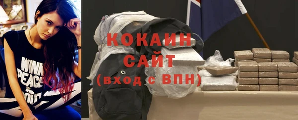 индика Абаза