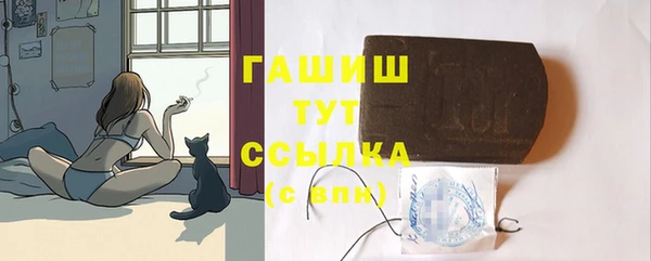 индика Абаза