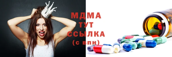 индика Абаза