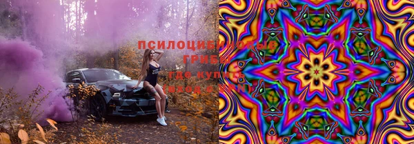 индика Абаза