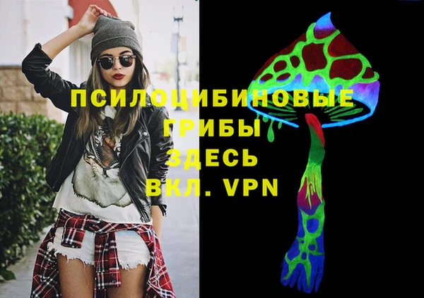 индика Абаза