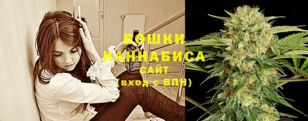 spice Абинск