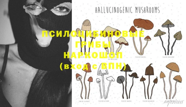 spice Абинск