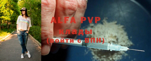 индика Абаза