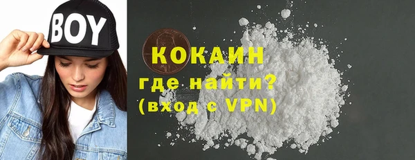 индика Абаза
