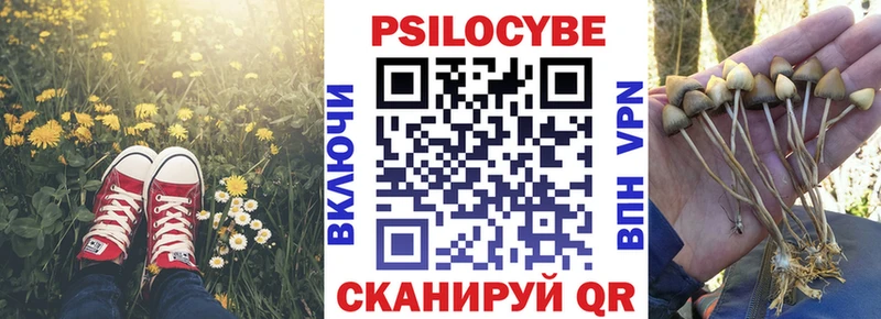 Галлюциногенные грибы Cubensis  дарнет шоп  Хилок 